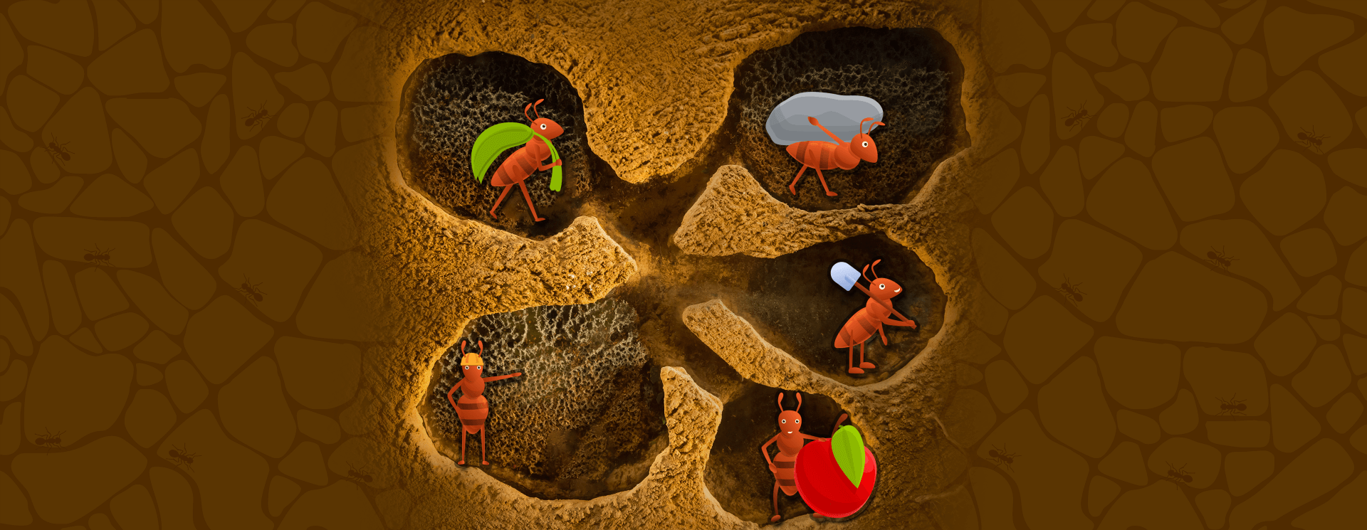 Une représentation simplifiée de l’habitat des fourmis. 