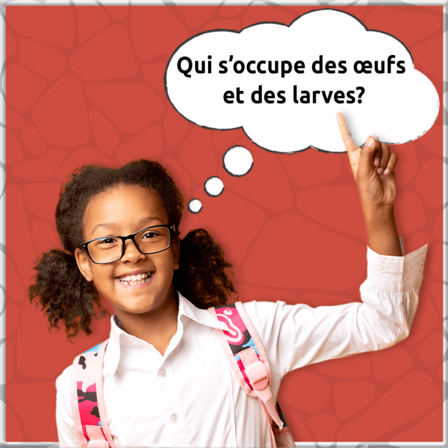 Une jeune fille lève la main pour poser une question. Dans sa bulle de dialogue, on peut lire : « Qui s’occupe des œufs et des larves? » 
