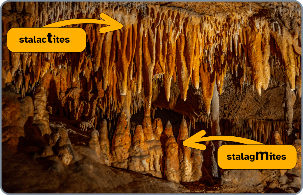 L’intérieur d’une caverne, avec des stalactites et des stalagmites. Des flèches indiquent que les stalactites tombent, et les stalagmites montent. 