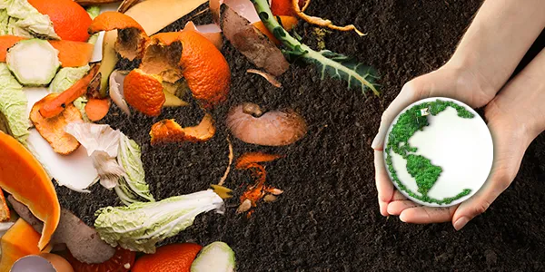 Photographie sur laquelle on peut voir des légumes à composter, de la terre et deux mains tenant une pousse de plante.  