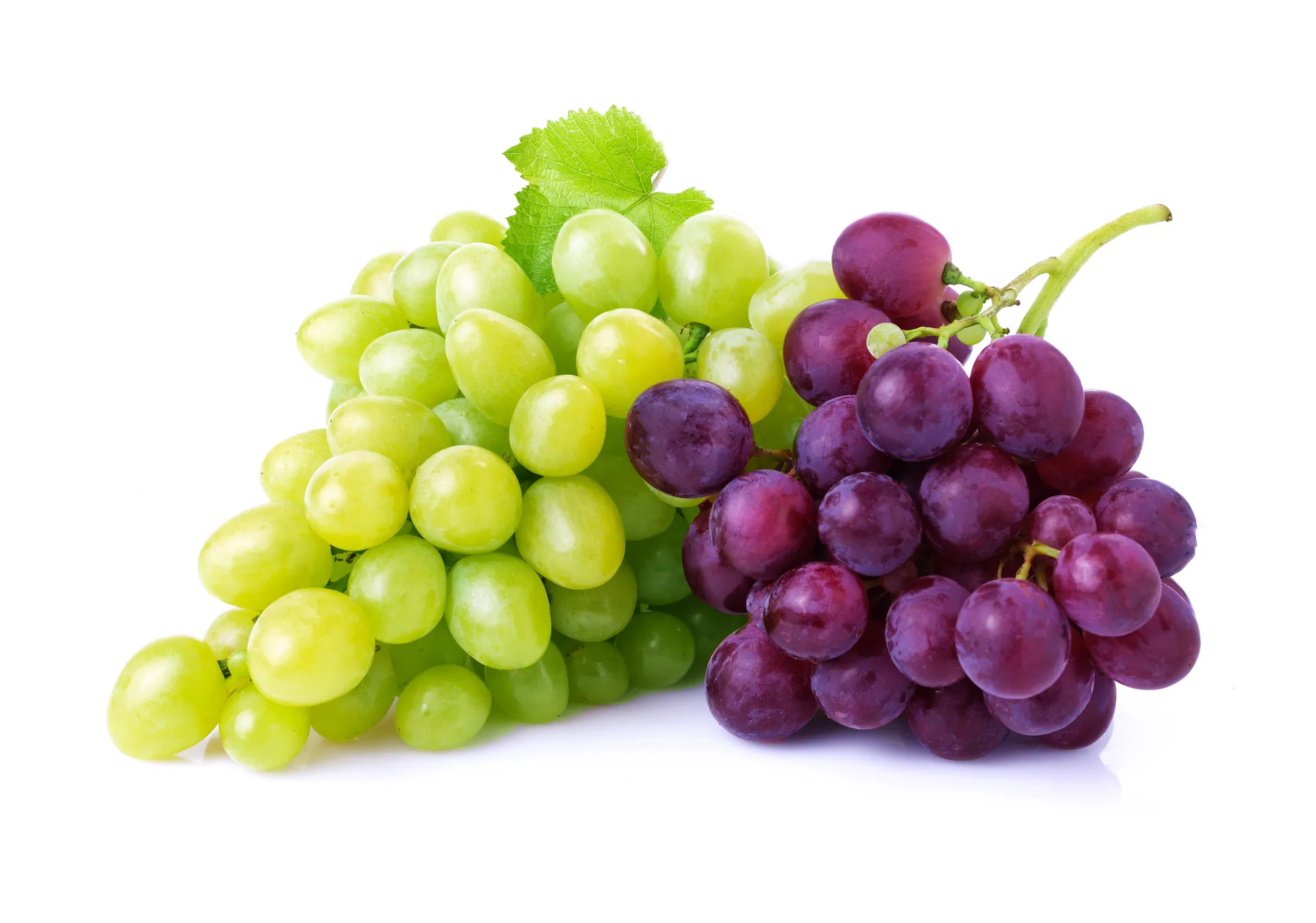 Une grappe de raisins verts et d’une grappe de raisins rouges. 