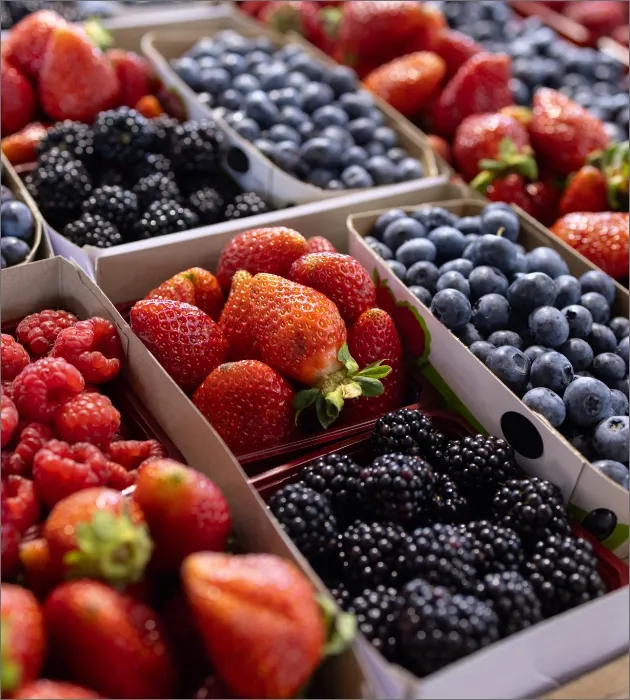 des fruits dans une épicerie