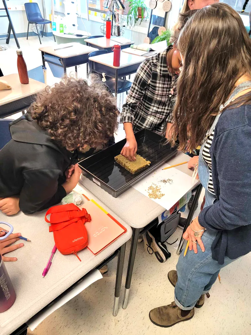 Photo sur laquelle on peut voir des élèves dans une classe en train de réaliser une activité écologique.  