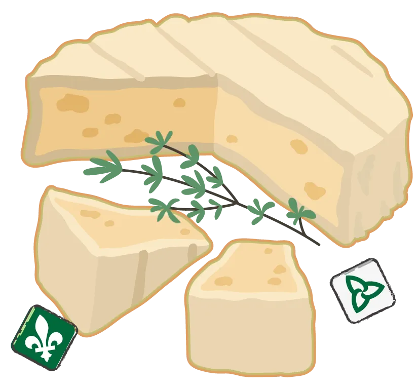 Meule de fromage semi-ferme à trous.