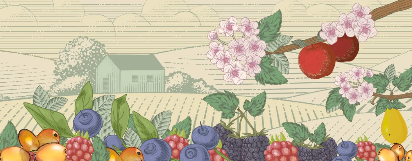 Décor champêtre illustré montrant un bâtiment de ferme, des pâturages, des petits fruits, des pommes et des fleurs de pommier.