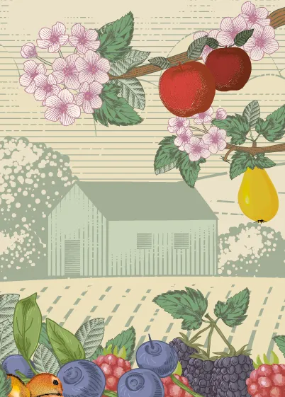 Décor champêtre illustré montrant un bâtiment de ferme, des pâturages, des petits fruits, des pommes et des fleurs de pommier.