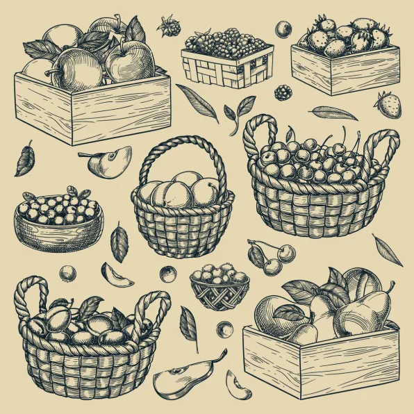 Des paniers et des caisses de différentes grandeurs contenant divers fruits.