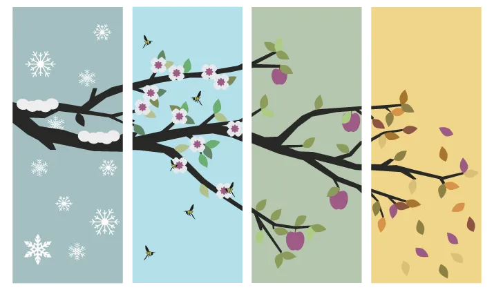 Une branche d’arbre divisée en quatre parties : garnie de neige, garnie de fleurs, garnie de fruits, qui perd ses feuilles.